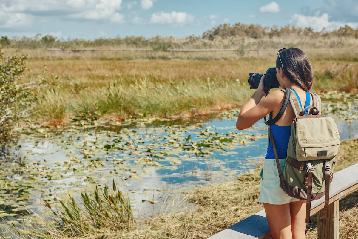 birdwatching in northeast florida