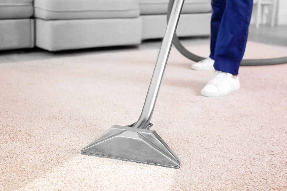 person cleaning carpet